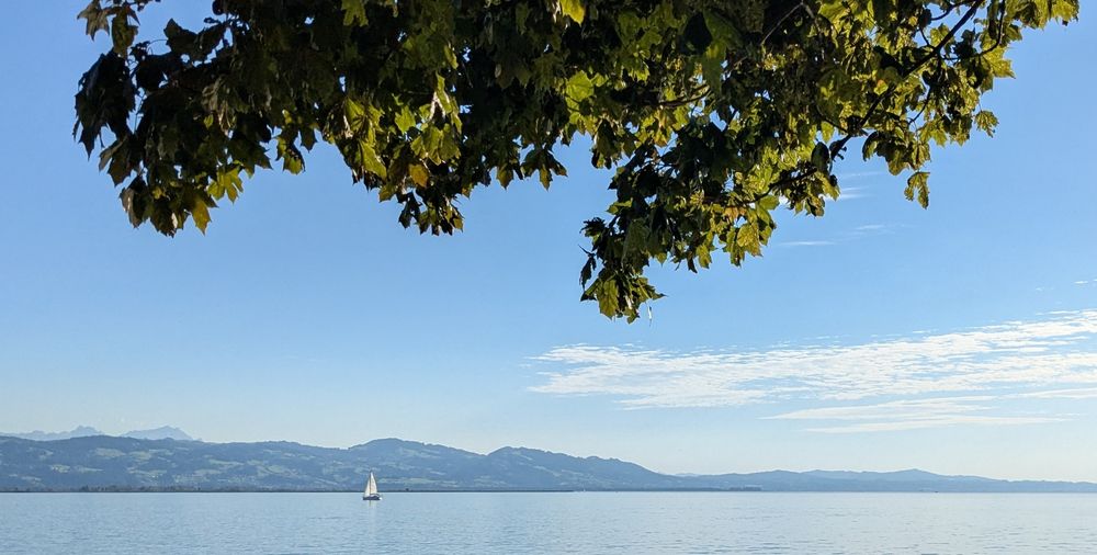A single sailship on a light blue lake sailing in the midday summer sun in the distance against some hills. The sky is blue except for a low hanging thin cloud bank on the right. A branch with green leaves is on the top of the frame, lit up by the sun.