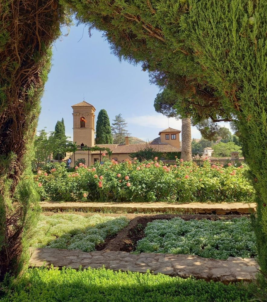 A peek through a hedge in the gardens of Alhambra to the palace of Carlos V with a large tower on the left and a smaller one on the right. In front some bushes with pink flowers and two horizontal paths. It's sunny, the sky is blue.