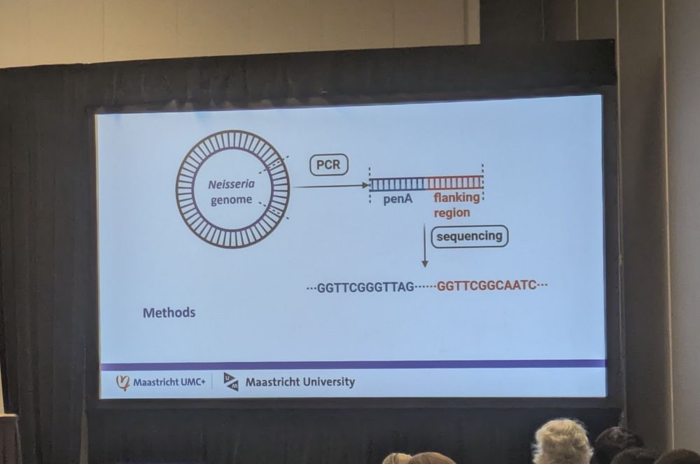 Graphic showing Neisseria gonorrhoea genome and pena gene with flanking region