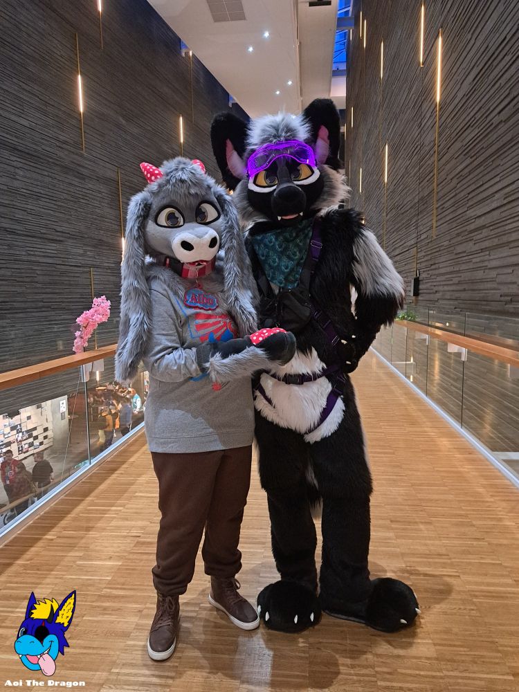 Photo of a gray plush dragon partial fursuiter standing next to a fullsuit silver fox fursuiter. Both fursuiters are looking at the camera. This was at NordicFuzzCon 2025, a furry convention.