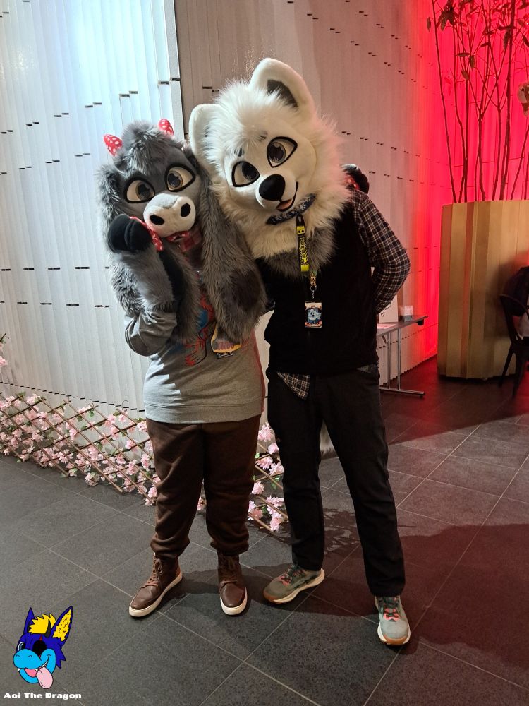 Photo of a gray plush dragon fursuiter and a white Samoyed fursuiter at NordicFuzzCon 2025. This photo was taken inside one of the convention's hotels.