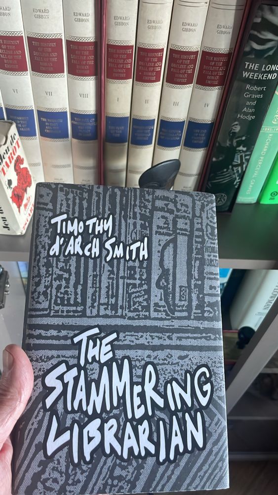 The stammering librarian cover