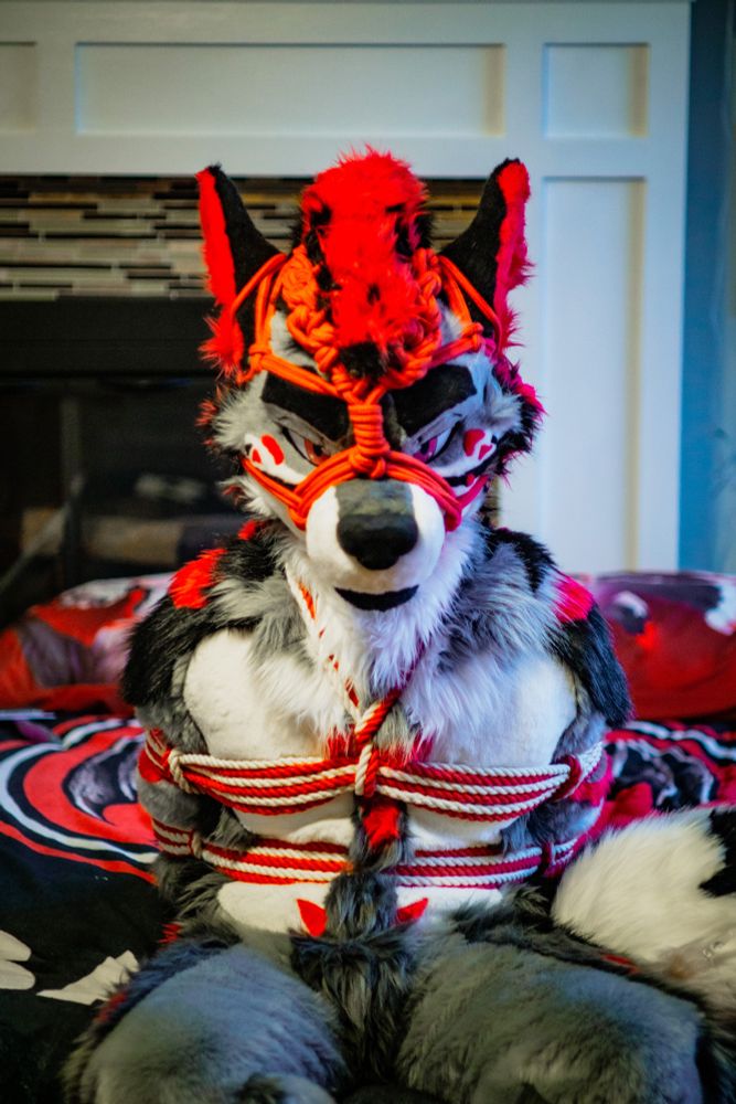 fursuiter tied with red rope