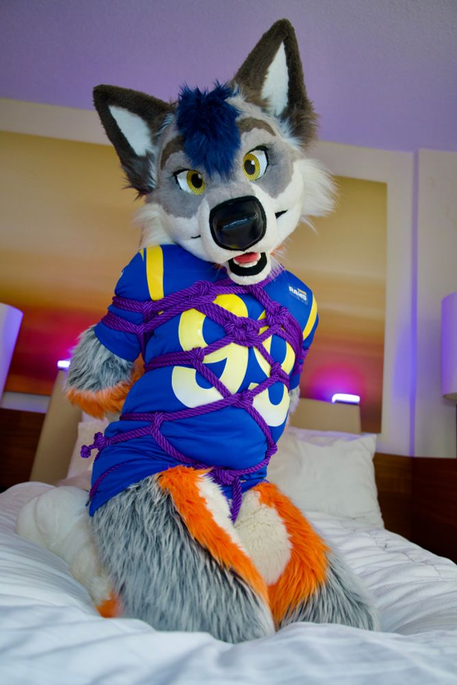 wolf fursuiter tied kneeling on a bed