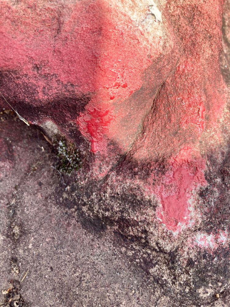 Image of a red mineralization collection on a large rock formation in the Ozarks. We think it might be cinnabar but we are unsure.