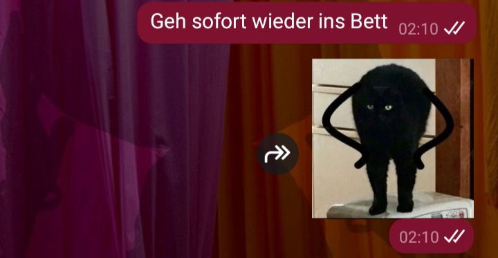 Whatsapp Screenshot, zwei Nachrichten von mir um 2 Uhr 10 morgens: "Geh sofort wieder ins Bett", gefolgt von einem Sticker einer schwarzen Katze, welcher Arme angezeichnet wurden, die sie empört in die Seite stämmt.