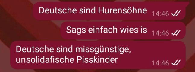Drei Whatsapp Nachrichten von mir: "Deutsche sind Hurensöhne" "Sags einfach wies is" "Deutsche sind missgünstige, unsolidarische Pisskinder"