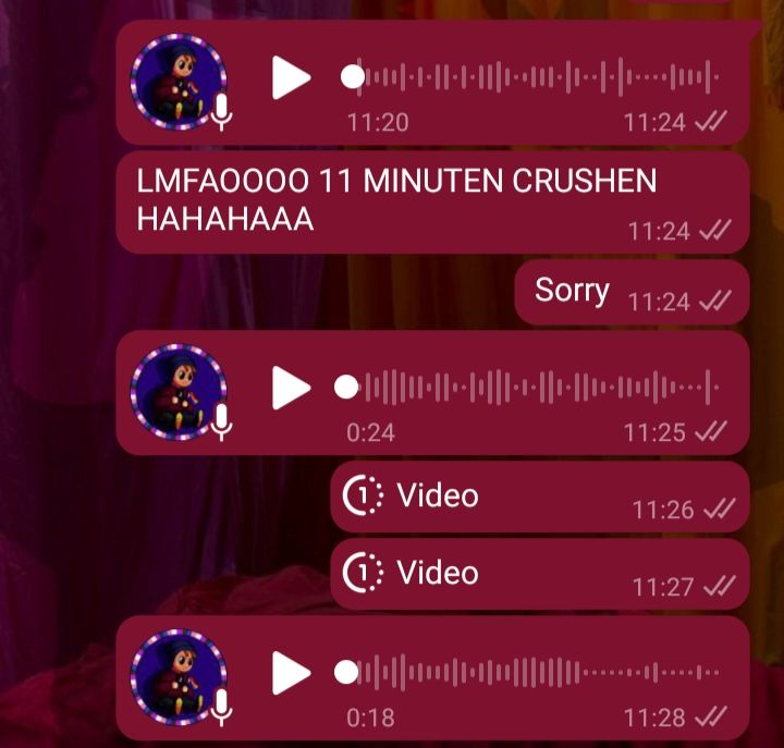 Whatsapp Screenshots, Wall of Text von mir.
Zuerst ein 11 Minute 20 Sekunden langes Audio, dann "LMFAOOOO 11 MINUTEN CRUSHEN HAHAHAAA" "Sorry", dann nochmal 24 Sekunden Audio, dann zeei Videos in Einmalansicht, dann nochmal 18 Sekunden Audio