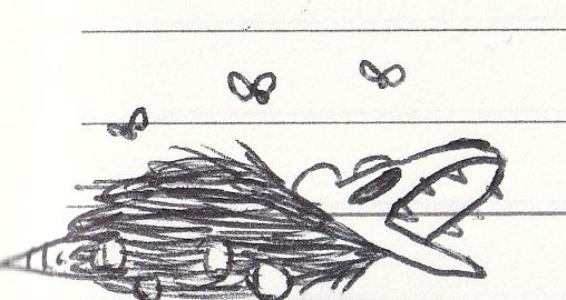 drawing of opossum (DEAD)