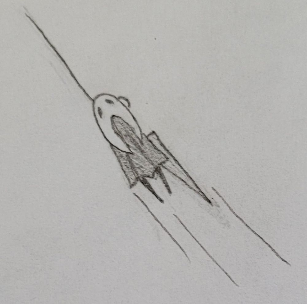 Hornet zooming.