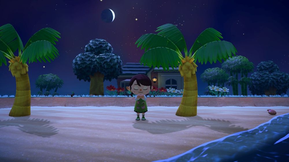 Screencatch from animal crossing new horozons. My character is standing on a beach wishing upon a star in the middle of the night. In the background is the Able Sisters closed for the day.