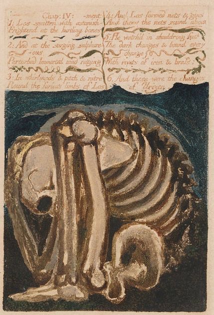 A watercolor print of a human skeleton with a spiked spine sitting in a fetal position, right hand on its skull
