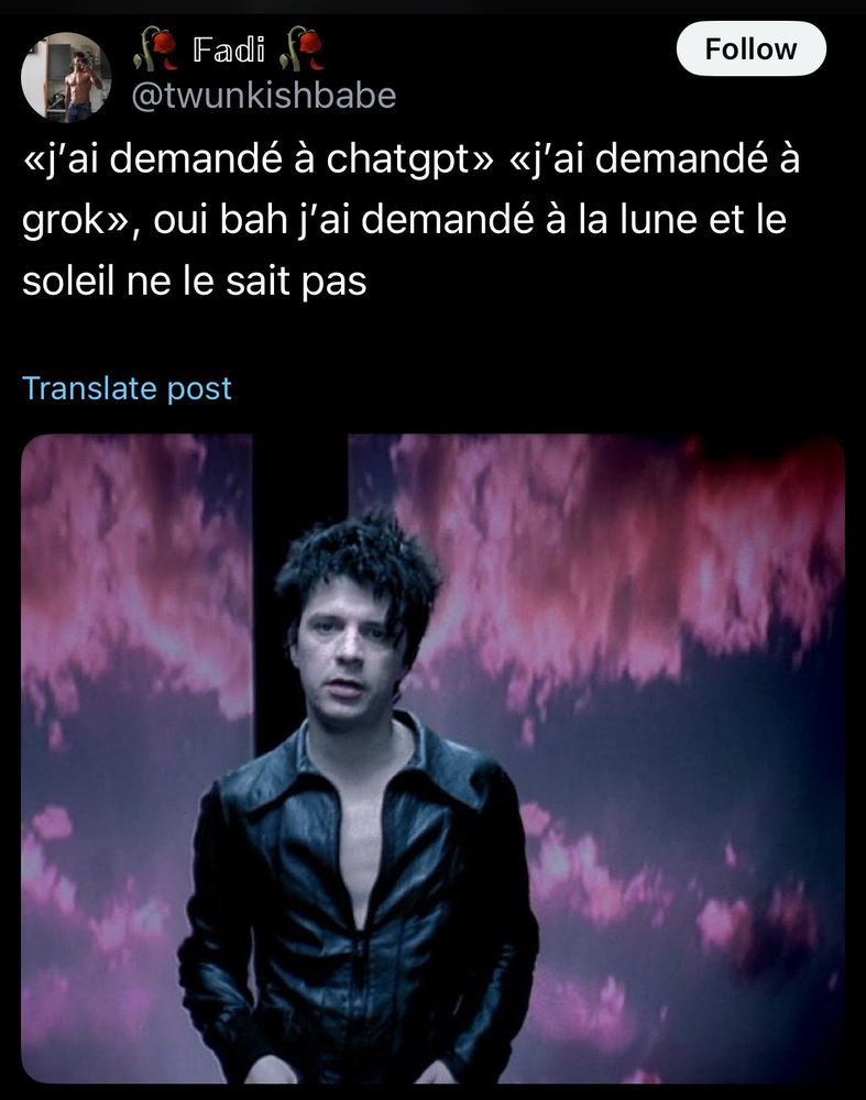 screenshot d'un tweet de @twunkishbaby. Il y a une photo de nicola sirkis et le tweet dit "j'ai demandé à chatgpt, j'ai demandé à grok, oui bah j'ai demandé à la lune et le soleil ne le sait pas"
