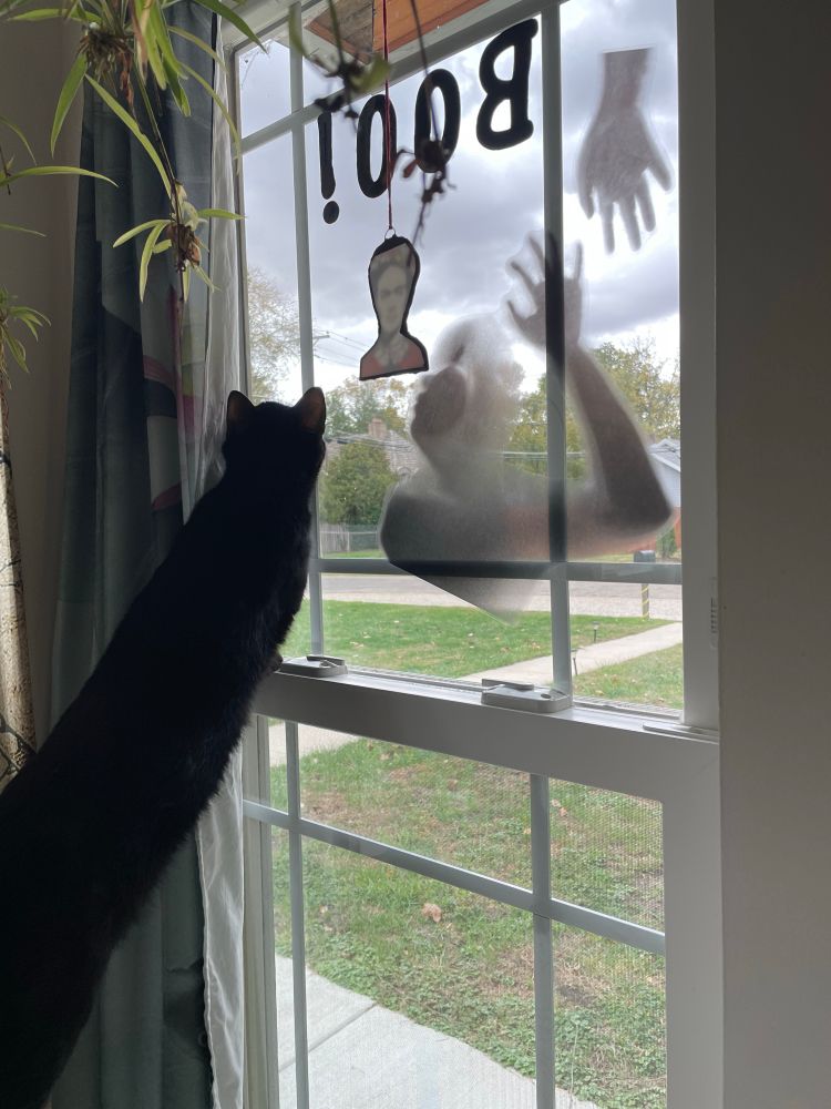 Black cat looks out window with scarey figure stuck on glass