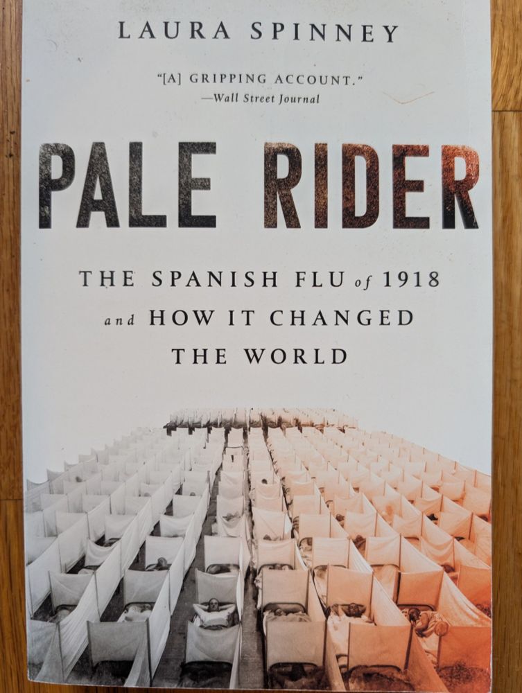 Paperback cover of Pale Rider: the Spanish Flu of 1918 and How It Changed the World, by Laura Spinney. Published 2017