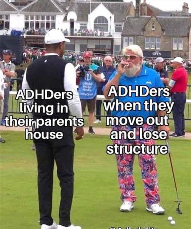 A picture of two golfers,  one on the left in extremely conservative clothing of black and white with text superimposed that says "ADHDers living in their parents house", and Chris Daly on the right fancy-smokong a cigar dressed like Santa cutting loose in the Florida Keys or something with the text "ADHDers when they move out and lost structure."