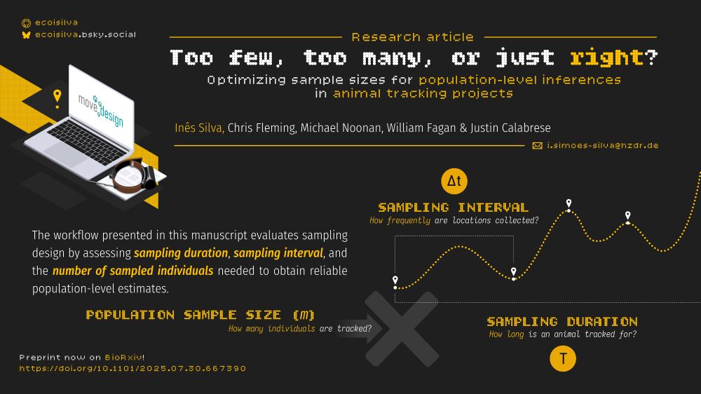 Graphical abstract for a manuscript titled "Too few, too many, or just right? Optimizing sample sizes for population-level inferences in animal tracking projects". The workflow presented in this manuscript evaluates sampling design by assessing sampling duration, sampling interval, and the number of sampled individuals needed to obtain reliable population-level estimates.
