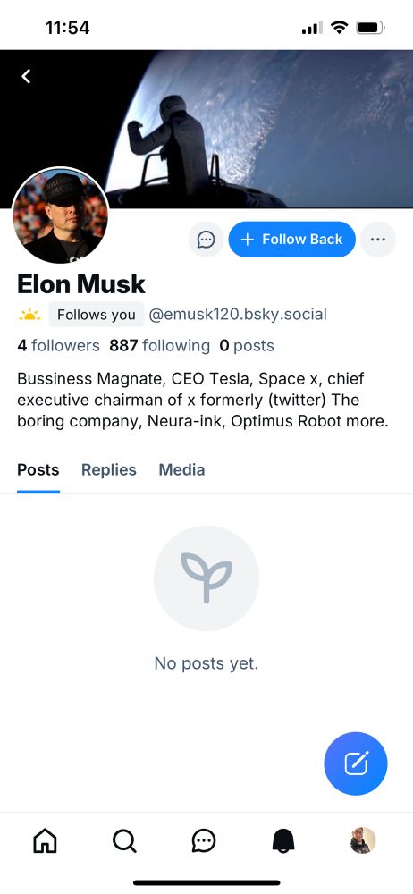 Screenshot of Elon musk imposter account
