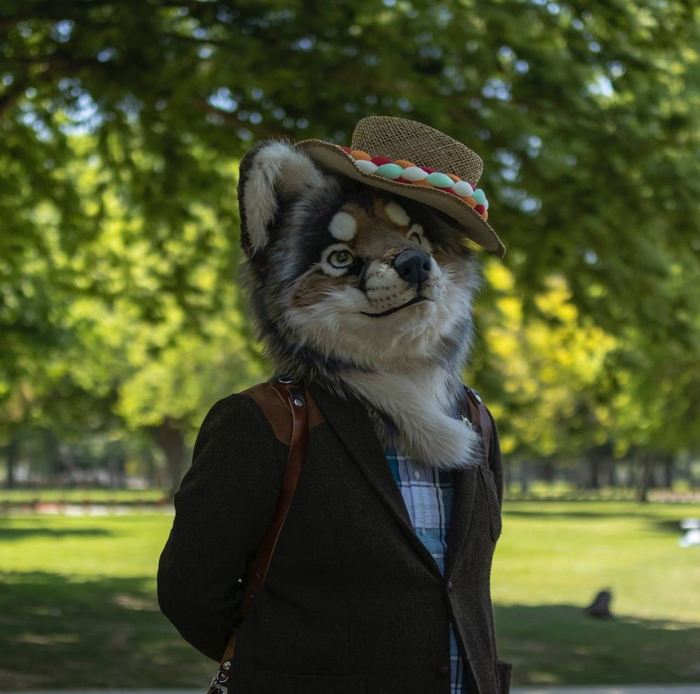 An anthro wolf fursuiter in a brown, tweed suit and a blue and white plaid shirt wearing a hat on his ear