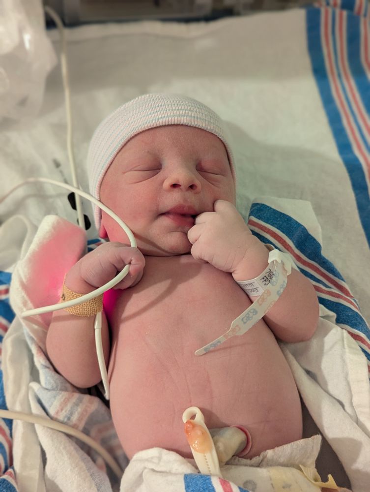 The cutest baby imaginable.