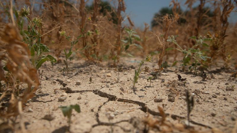EU citizens overwhelmingly behind climate action, poll suggests