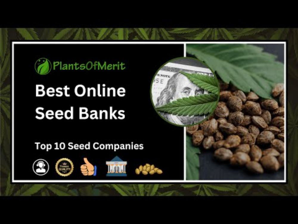 Top 10 Best Seed Banks in 2024: Buy Online From Trusted Seed Companies