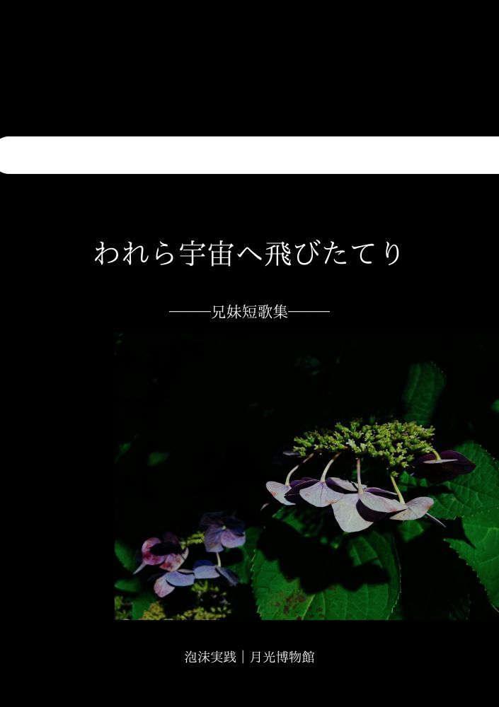 今年5月に文フリで発行した『われら宇宙へ飛びたてりー兄妹短歌集ー』の表紙の画像。下を向いた紫陽花の写真が用いられています。全体的に黒い。