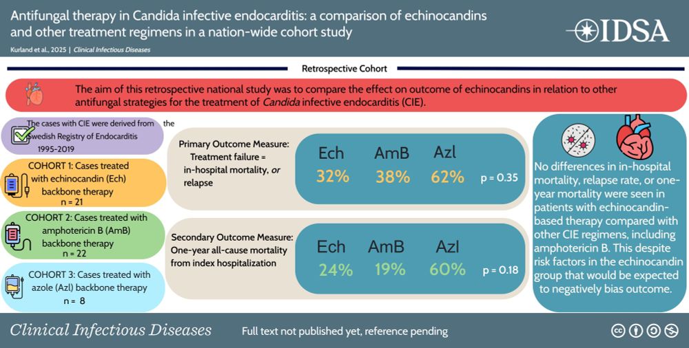 Graphical abstract