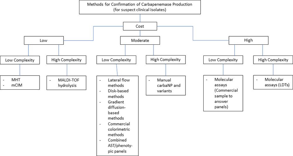 Selecting a carbapenemase confirmation test for suspect clinical isolates based on cost and complexity
