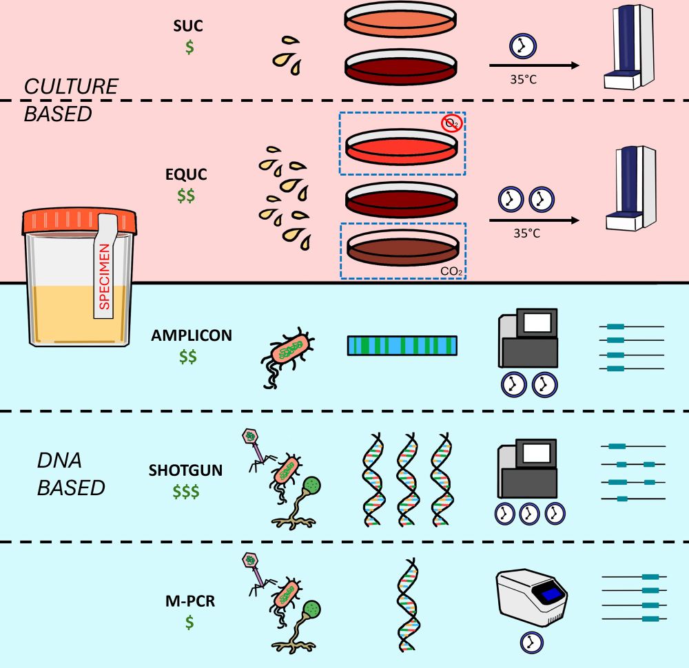 Comparison of culture based and DNA based diagnostics for UTI
