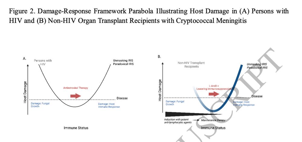 Two parabola diagrams comparing HIV-associated cryptococcal damage and non-HIV transplant-associated damage. In both settings, too little or too much immune response can result in host damage (left and right arms of the parabola). However, in non-HIV transplant patients, the overall position on the parabola is less predictable, due to the heterogeneous effects of immunosuppressive medications before and during cryptococcal infection.