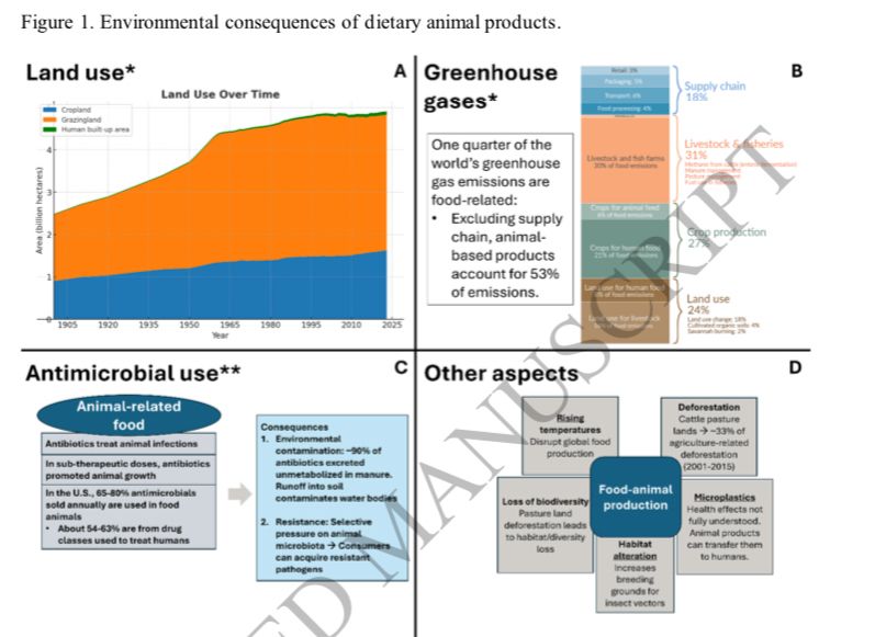 Graphical abstract 