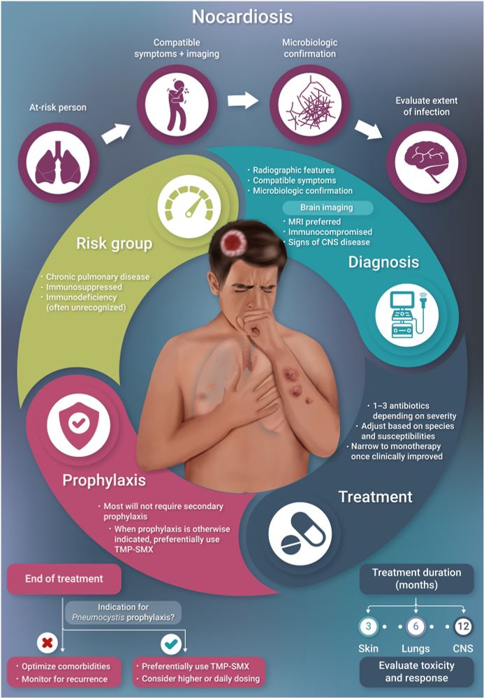 Visual abstract for state-of-the-art review on nocardiosis