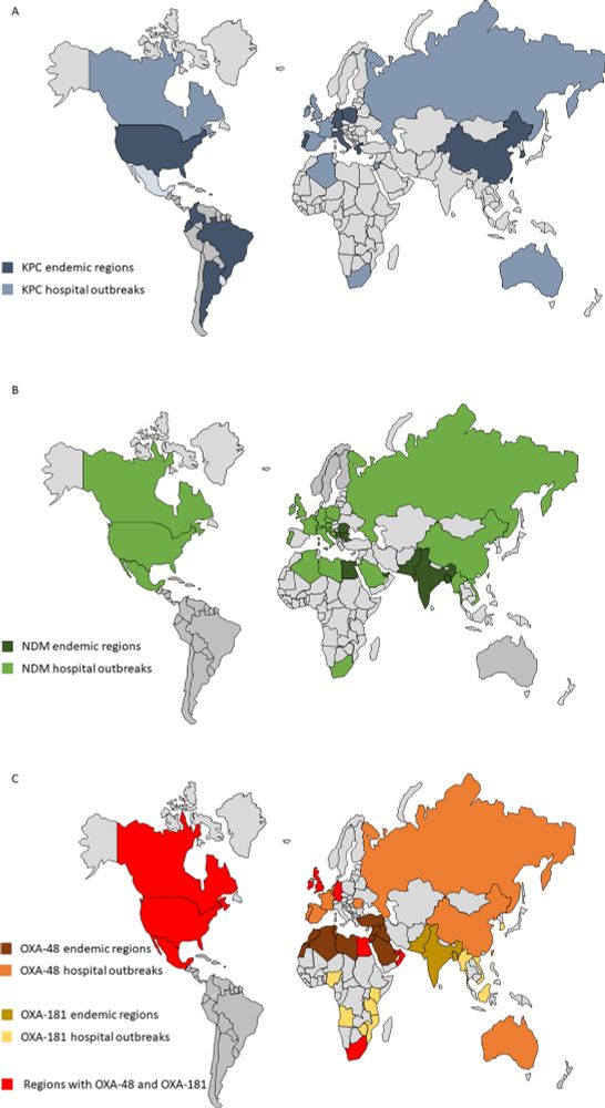 Global distribution of KPC (A), NDM (B), and OXA-48-like (C) carbapenemases. 