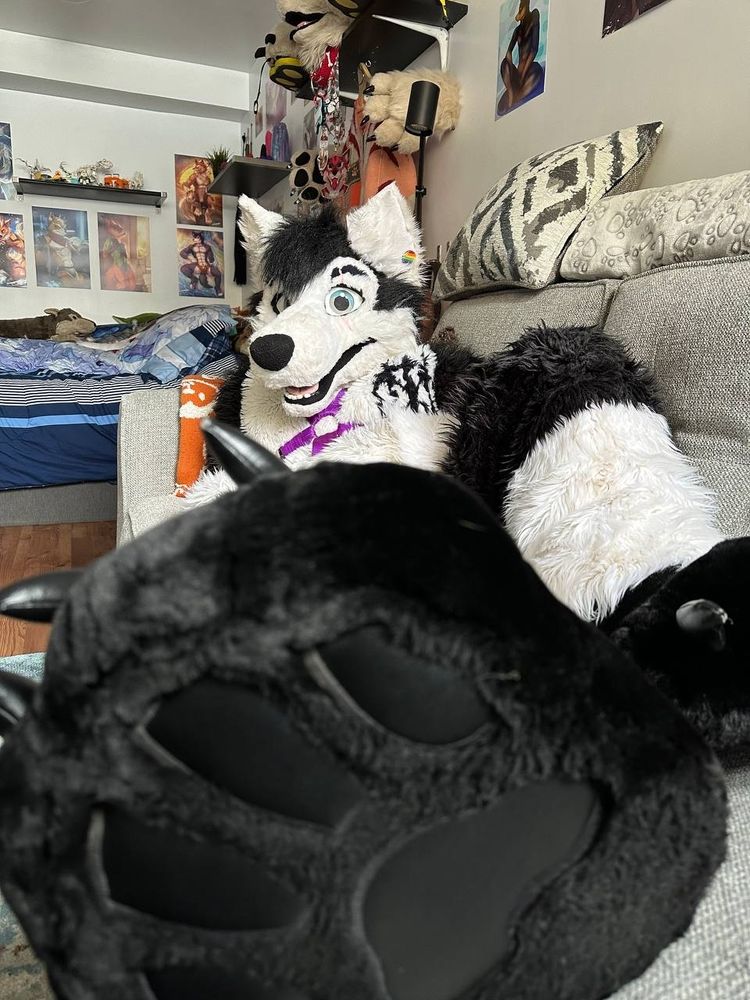 A black and white husky fursuiter, laying on a couch, his paw super close to the camera, looking at it with a hungry look for you to come press your muzzle on it