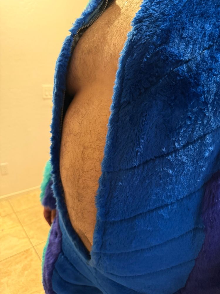 An unzipped fursuit exposing a fuzzy tummy and chest.