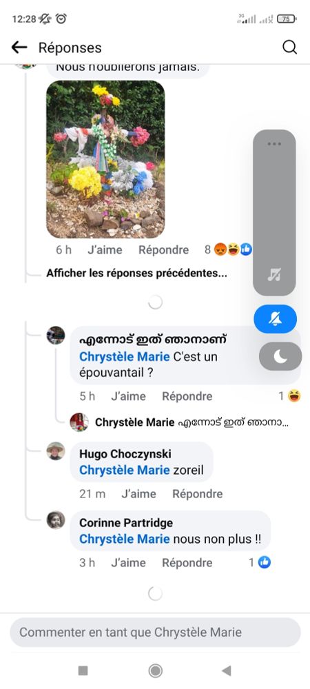 Je poste en réponse le bout de bois fleuri en mémoire des jeunes kanak morts. Les commentaires sont les insultes, un commentaire demande "c'est un épouvantail?"