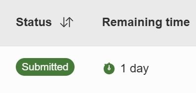 Status: Submitted 
Remaining time: 1 day