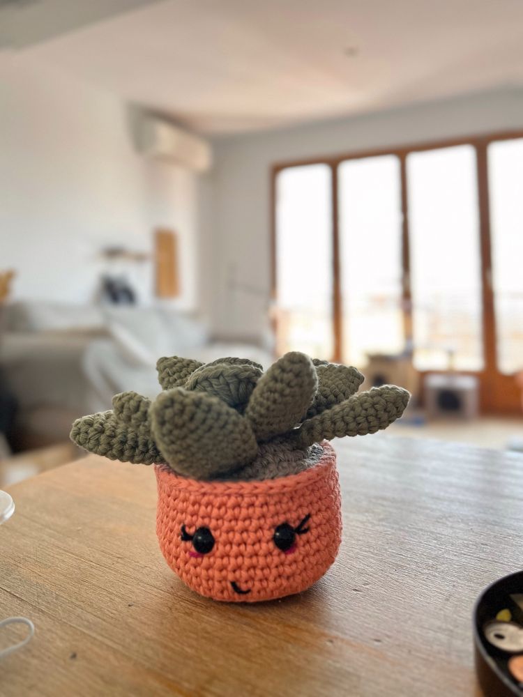 Crochet succulent in green and peach, placed on a table in a blurred, sunny living room 
