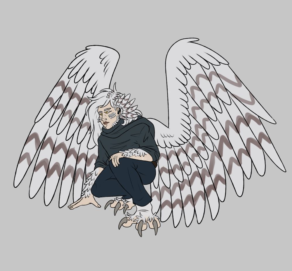 A human/snowy owl hybrid tracking something