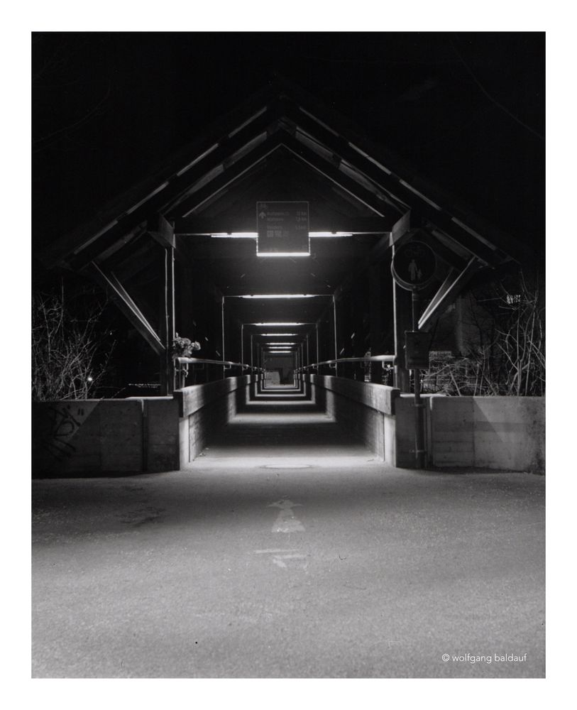 This black and white photograph captures a symmetrical passage, its vanishing point drawing the viewer's eye into the depths of the image. The tunnel is illuminated by a series of evenly spaced lights, creating a contrast between the illuminated sections and darkness that frames them. The geometric precision of the architecture, with its angular supports and rigid lines, is softened by the organic presence of foliage on either side, blurring the sharp boundaries of the constructed space.