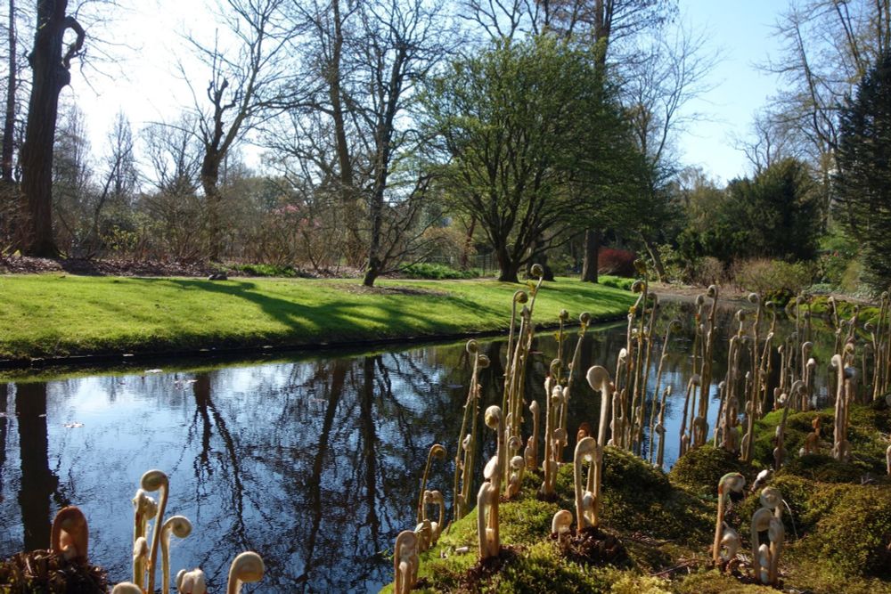 Garden with a still mirroring pond with trees and green grass on the other side. In the front are stangely looking structures.