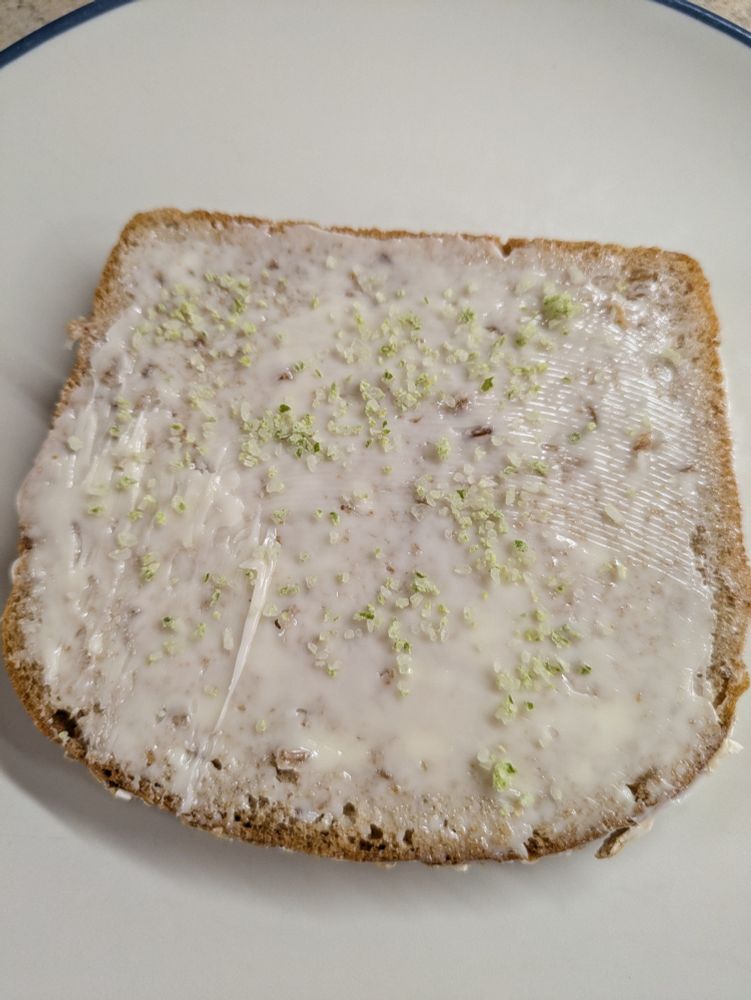 Slice of buttered bread sprinkled with garlic scape salt.
