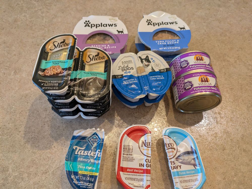 A veritable smorgasbord of cat food options to tempt an old cat to eat already.