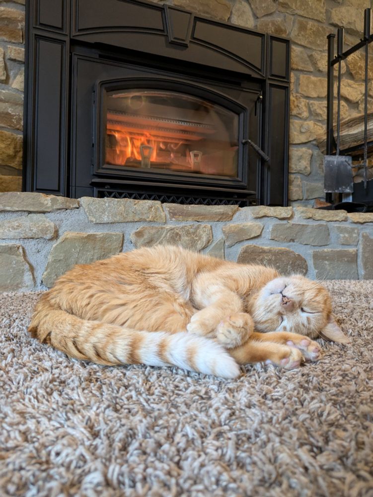 Orange cat naps in front of fire.
