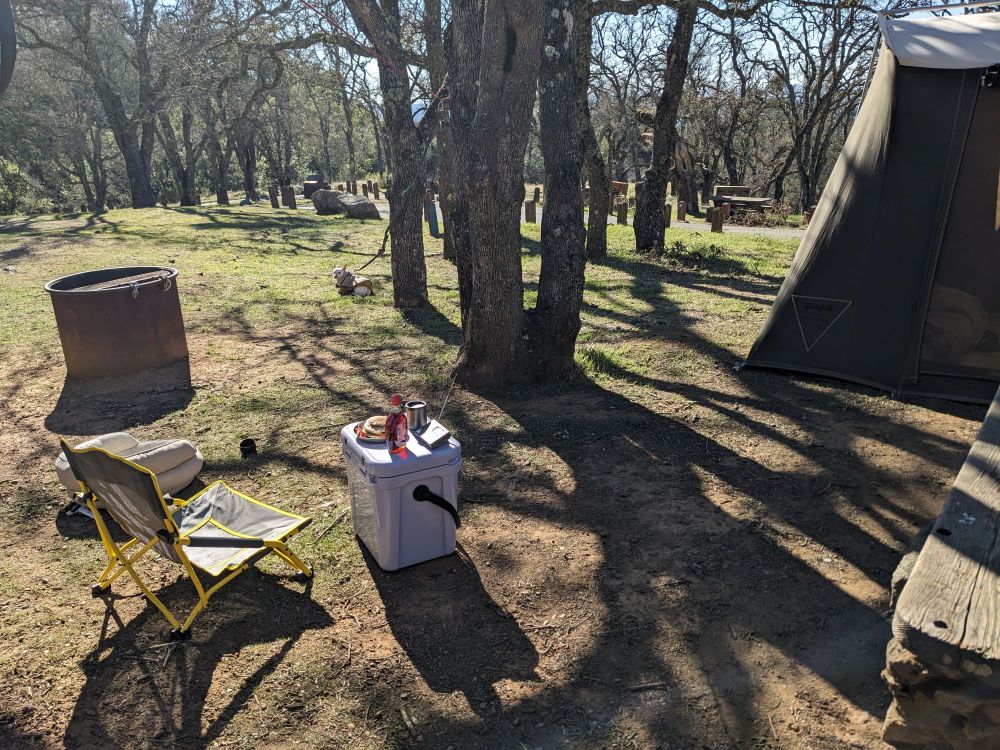 Campsite in between the trees.