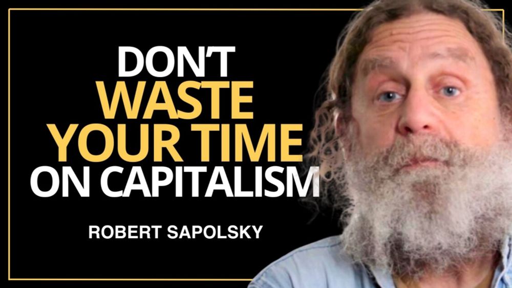 Neuroscientist: How to Escape the Rat Race | Robert Sapolsky