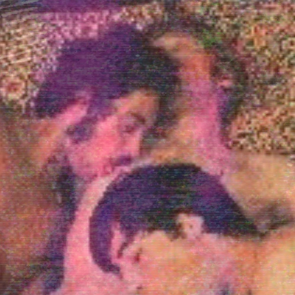 Distorted image of 3 men in a position suggesting sex. One has side burns and a hairy chest. 