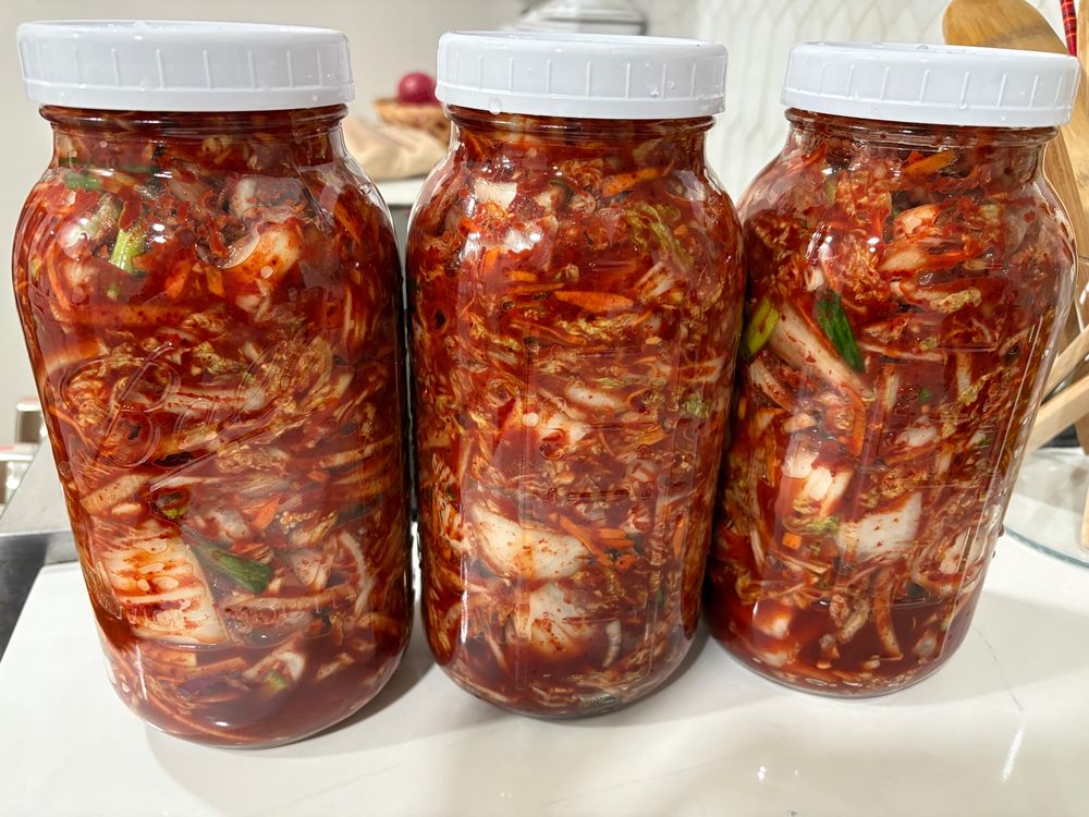 Three half-gallon jars of freshly made baechu-kimchi