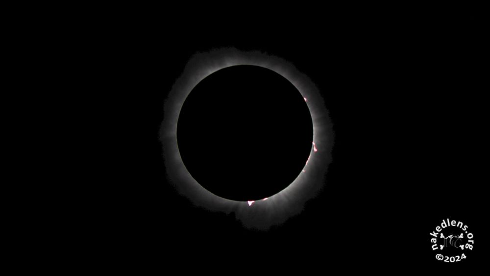 A photograph of a total solar eclipse that appears as a white ring against a black sky, with solar flares visible, taken in Dallas, Texas, USA on April 8, 2024.